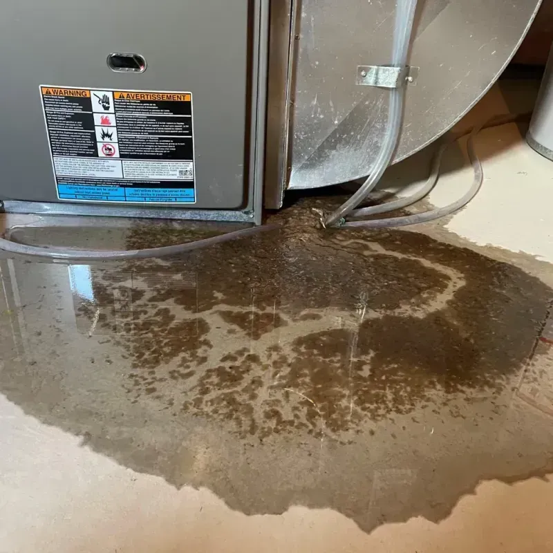 Appliance Leak Cleanup in Bayville, NJ